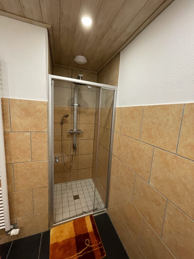 Startseite Geräumige Dusche im modernen Badezimmer